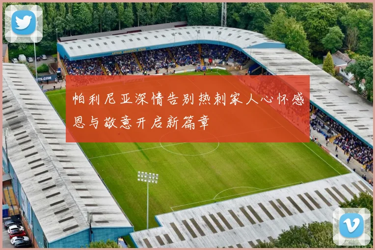 帕利尼亚深情告别热刺家人心怀感恩与敬意开启新篇章